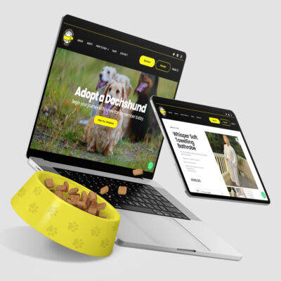 Cape Dachshund Rescue